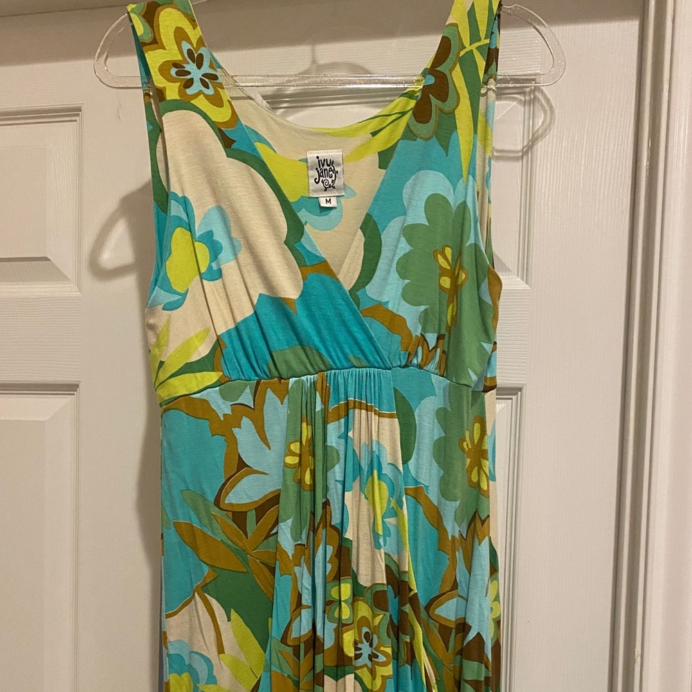 Retro looking Ivy Jane Medium Dress w/ Pockets